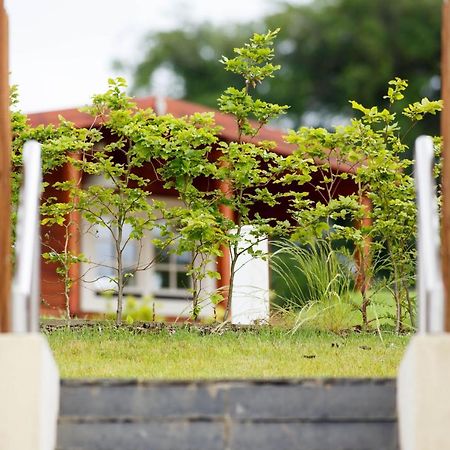 Готель Giltraps Townhouse & Glamping Kinnitty Екстер'єр фото